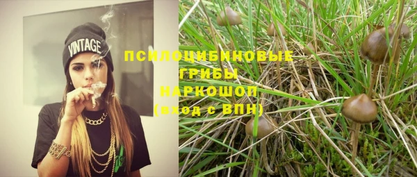 марки nbome Инсар